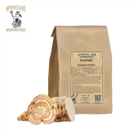 Corte de raíz de rábano picante – Cochlearia armoracia | Apophycarius