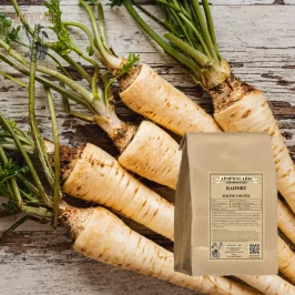 Horseradish root cut (Cochlearia armoracia) - Apophycaire