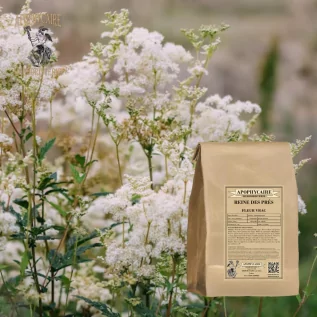 Çayır tatlısı gevşek çiçek (Spiraea ulmaria) - Eczacı