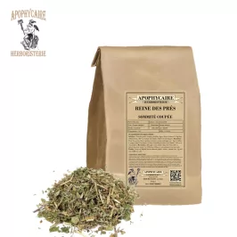 Meadowsweet cut top – Filipendula ulmaria | Apothecary