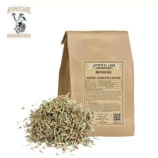 Knotweed aerial part cut – Polygonum aviculare | Apophycaire