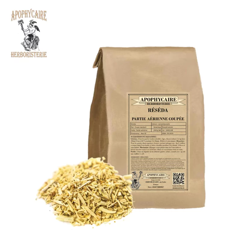 Geschnittene Mignonette (Reseda luteola) – Apotheker Geschnittene Mignonette (Reseda luteola) – Apotheker