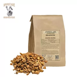 Corte de raíz rapóntica – Rheum rhaponticum | Apophycarius