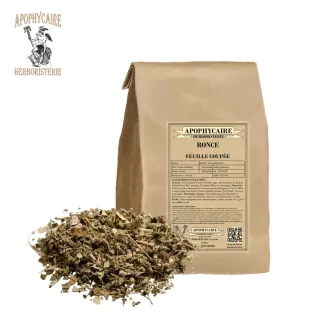 Ronce feuille coupée (Rubus fruticosus) - Apophycaire