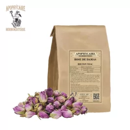 Toplu Şam gülü tomurcuğu – Rosa damascena | Apophycarius