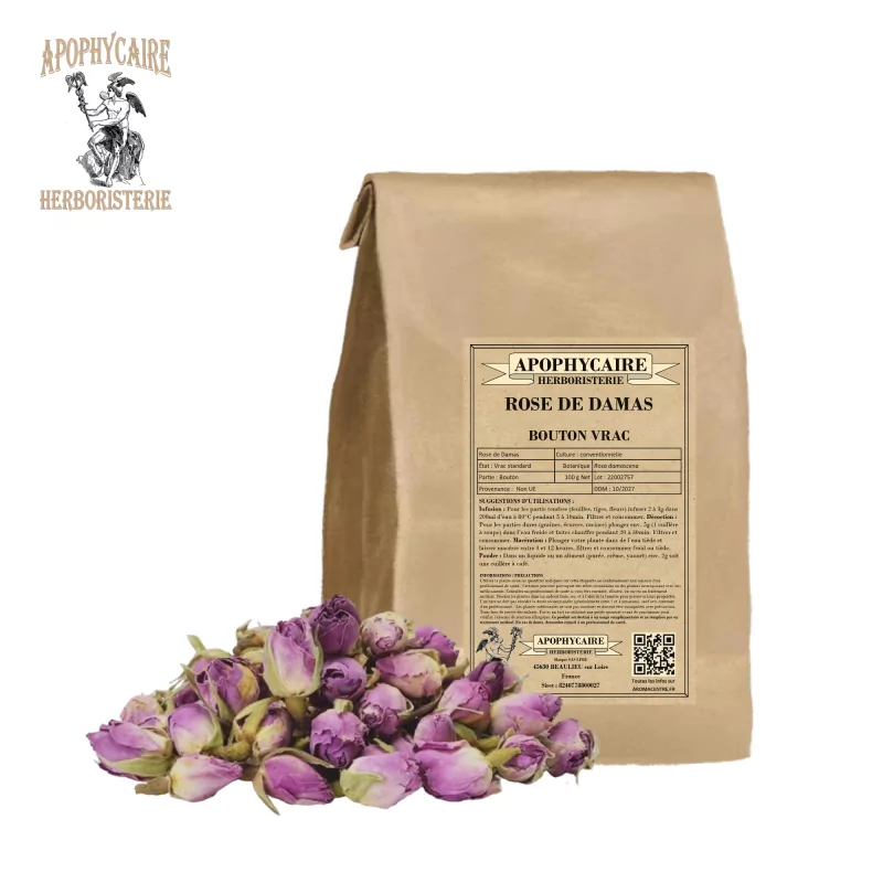 Capullo de rosa de Damasco suelto (Rosa damascena) - Apophycaire Capullo de rosa de Damasco suelto (Rosa damascena) - Apophycaire