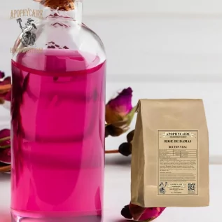 Damaszener-Rose, Knospen in Großpackung – Rosa damascena | Apophycarius