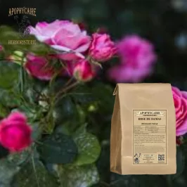 Lose Blütenblätter der Damaszener-Rose (Rosa damascena) - Apophycaire