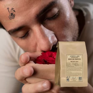 Rose von Provins, Großpackung – Rosa gallica | Apophycaire