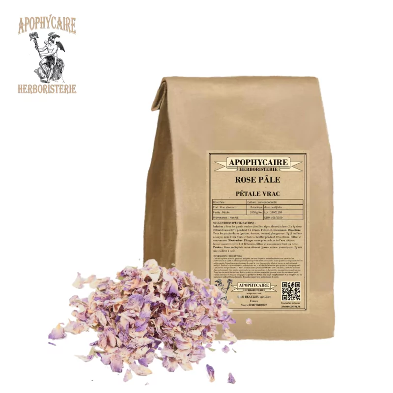 Soluk Pembe Gevşek Yaprak (Rosa centifolia) - Apophycaire