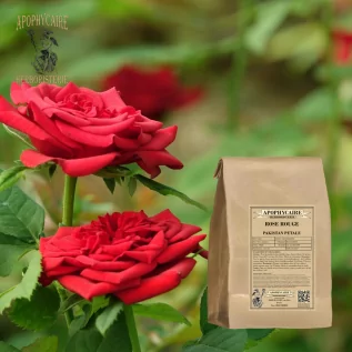 Pakistan'dan kırmızı gül yaprakları – Rosa centifolia | Apophycarius