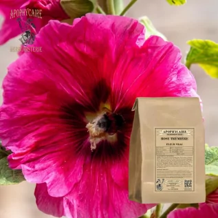 Hollyhock loose flower (Althaea rosea) - Apophycaire