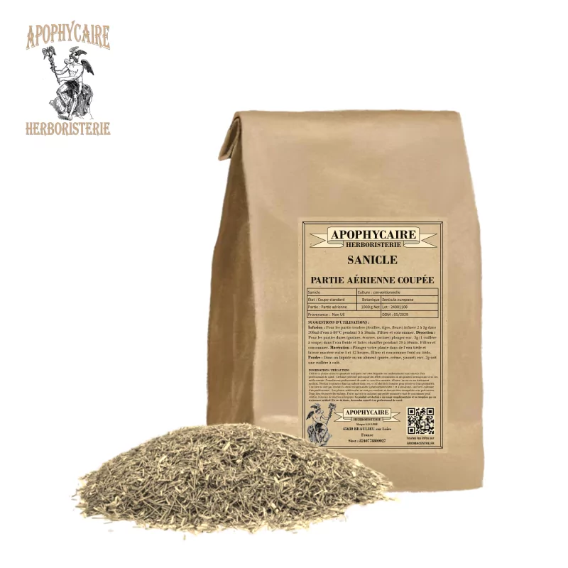 Sanicle coupée (Sanicula europaea) - Apophycaire