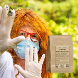 Geschnittenes Seifenkraut (Saponaria officinalis) - Apophycaire