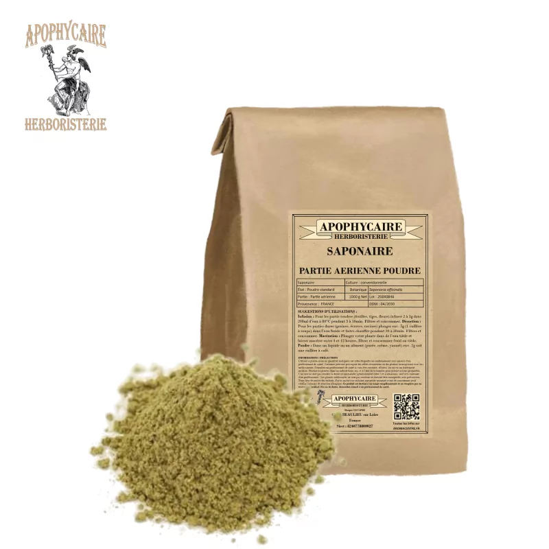 Soapwort powder (Saponaria officinalis) - Apothecary