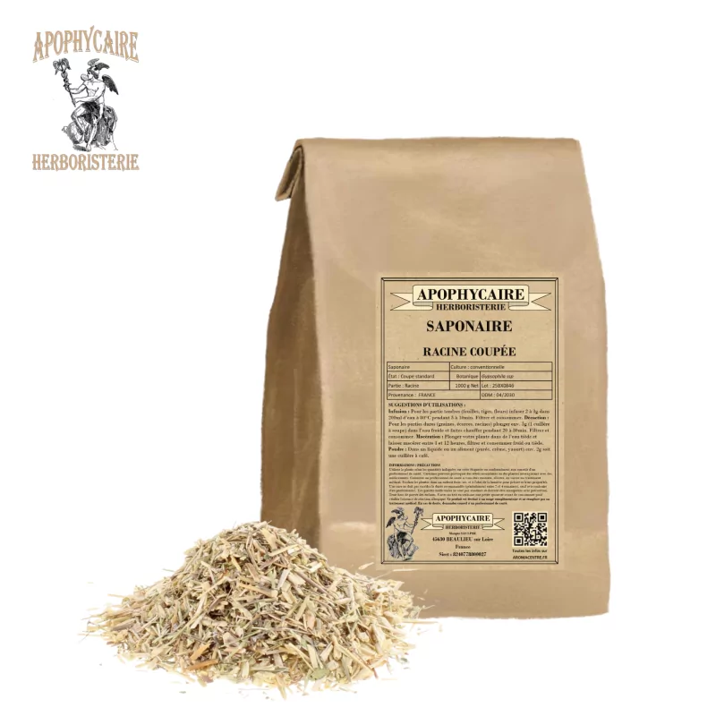 Soapwort cut root (Gypsophila ssp) - Apophycaire