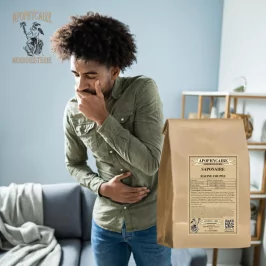 Sabun otu kesilmiş kökü (Gypsophila ssp) - Apophycaire