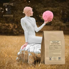 Sauge Sclarée coupée (Salvia sclarea) - Apophycaire