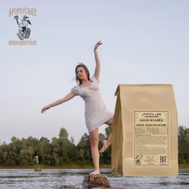 Clary Sage Powder (Salvia sclarea) - Apophycaire
