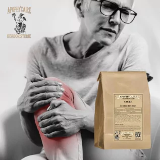 Willow bark powder – Salix purpurea / daphnoides / fragilis | Apophycaire