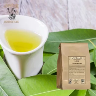 Polvo de hojas de sauce – Salix purpurea / daphnoides / fragilis | Apophycarius