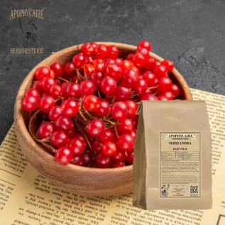 Bayas de Schizandra a granel – Schisandra chinensis | Apophycaire