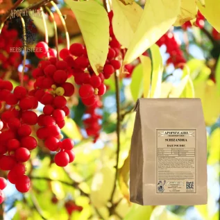 Polvo de bayas de Schizandra – Schisandra chinensis | Apophycarius
