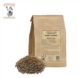 Enkaza karşı tohumlar – Çin Artemisia | Apophycaire