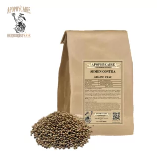 Enkaza karşı tohumlar – Çin Artemisia | Apophycaire