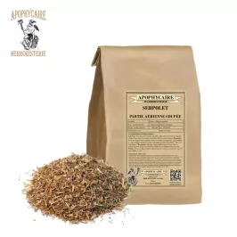 Serpolet partie aérienne coupée (Thymus serpyllum) - Apophycaire