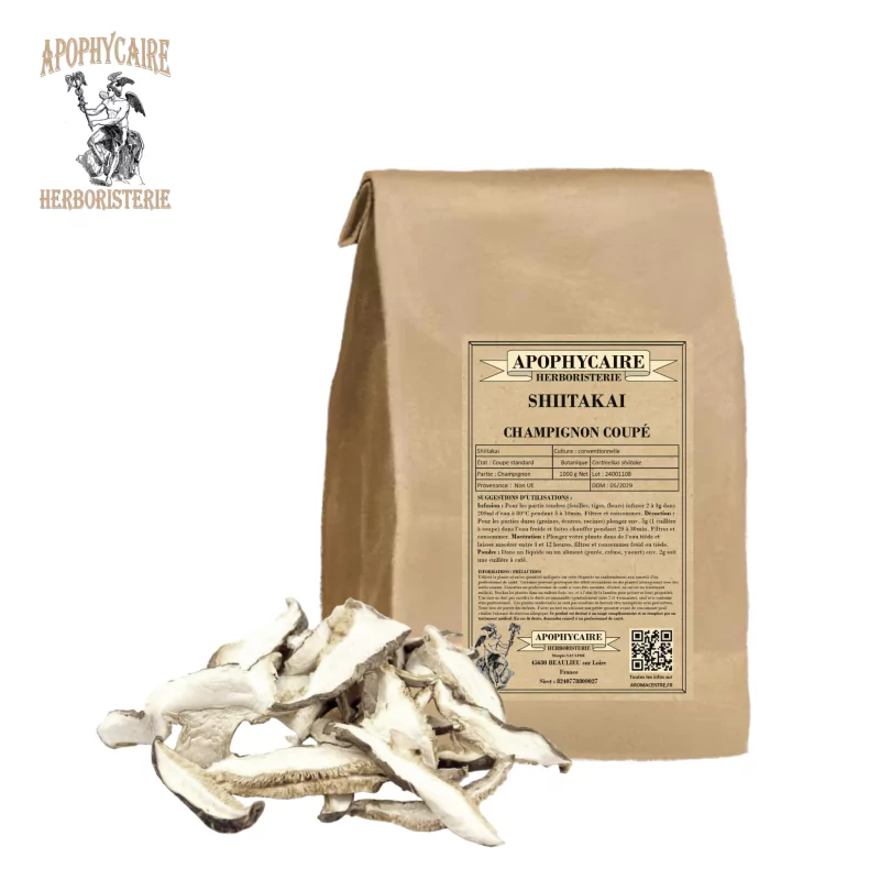 Geschnittener Shiitakai (Cortinellus shiitake) – Apophycaire