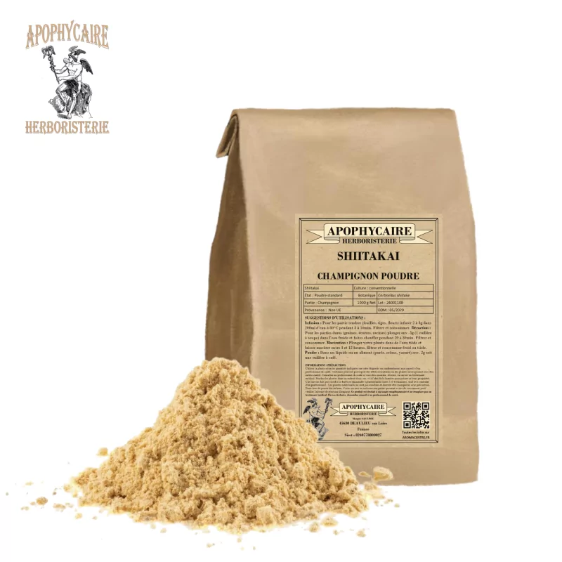 Shiitakai powder (Cortinellus shiitake) - Apophycaire