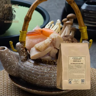 Shiitakai powder (Cortinellus shiitake) - Apophycaire