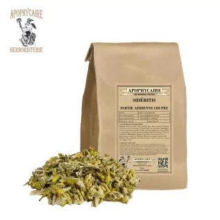 Sideritis scardica | Apophycaire