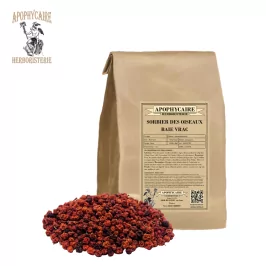 Bayas de serbal sueltas – Sorbus aucuparia | Apophycaire