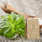 Stevia yaprağı kesimi (Stevia rebaudiana) - Apophycaire