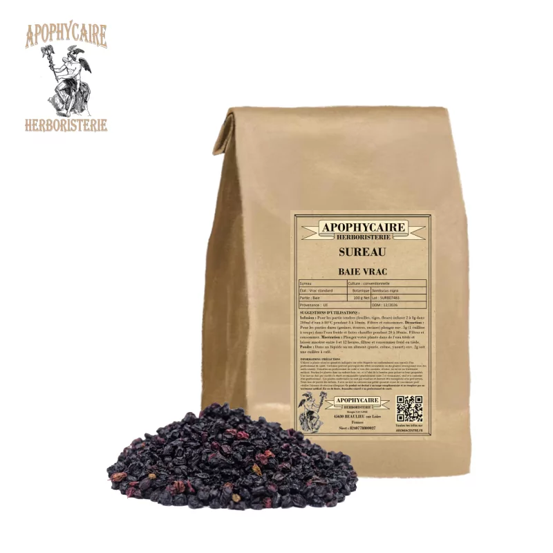 Holunderbeeren (Sambucus nigra) lose - Apophycaire