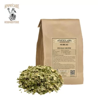 Elderberry cut leaf – Sambucus nigra | Apothecary