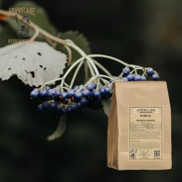 Hoja cortada de saúco (Sambucus nigra) - Apophycaire