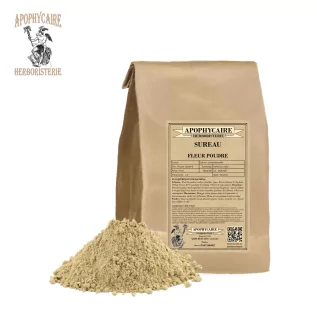 Elderflower powder – Sambucus nigra | Apophycaire