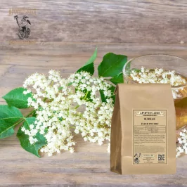 Holunderblütenpulver (Sambucus nigra) - Apophycaire