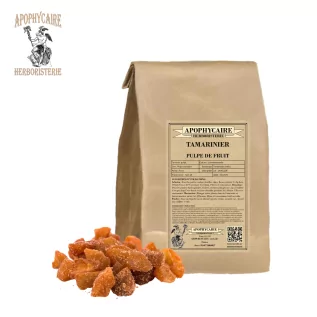 Tamarind fruit pulp – Tamarindus indica | Apophycaire