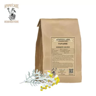 Sumidad florida cortada de tanaceto – Tanacetum vulgare | Apophycarius