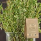 Thym feuille poudre (Thymus vulgaris) - Apophycaire Thym feuille poudre (Thymus vulgaris) - Apophycaire