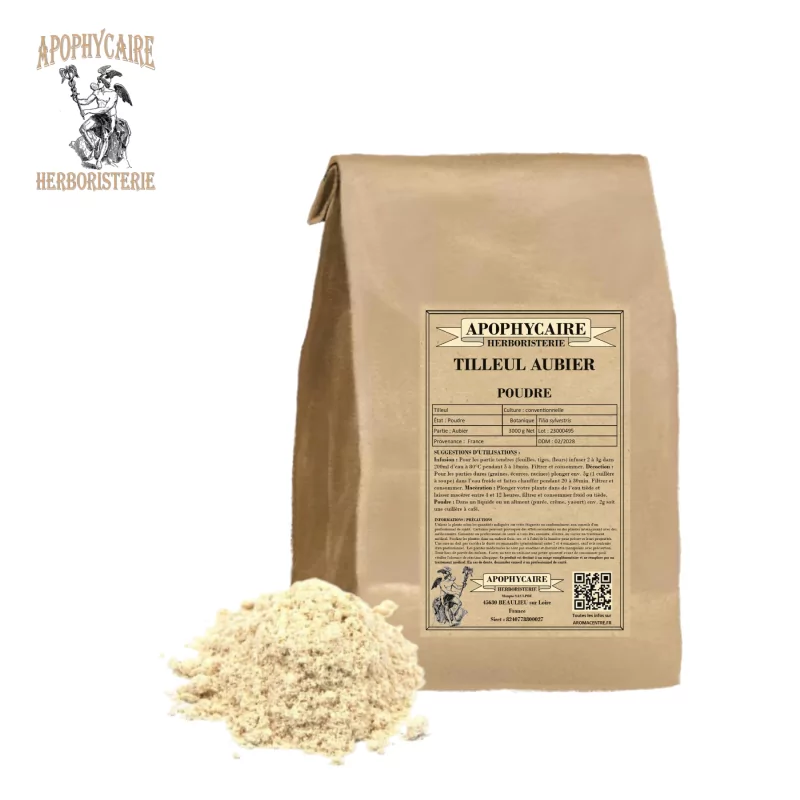 Powdery white sapwood linden (Tilia sylvestris) - Apophycaire