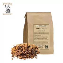 Geschnittene Rotsplintlinde – Tilia sylvestris | Apophycarius