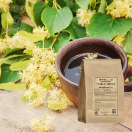 Ihlamur ağacı yaprakları gevşek (Tilia cordata / ssp) - Apophycaire