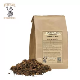 Tormentil root cut – Potentilla tormentilla | Apophycaire