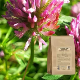 Kırmızı yonca gevşek çiçek (Trifolium pratense) - Apophycaire