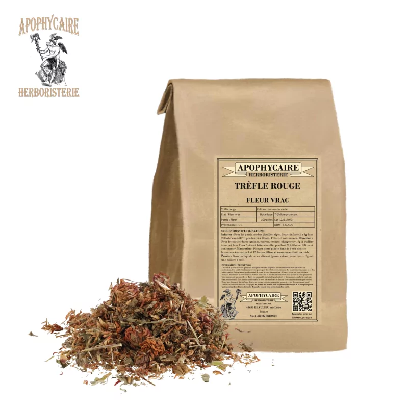 Kırmızı yonca gevşek çiçek (Trifolium pratense) - Apophycaire Kırmızı yonca gevşek çiçek (Trifolium pratense) - Apophycaire